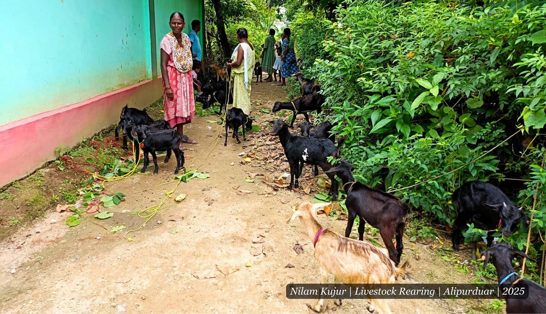 women led livelihoods & social enterprise development
