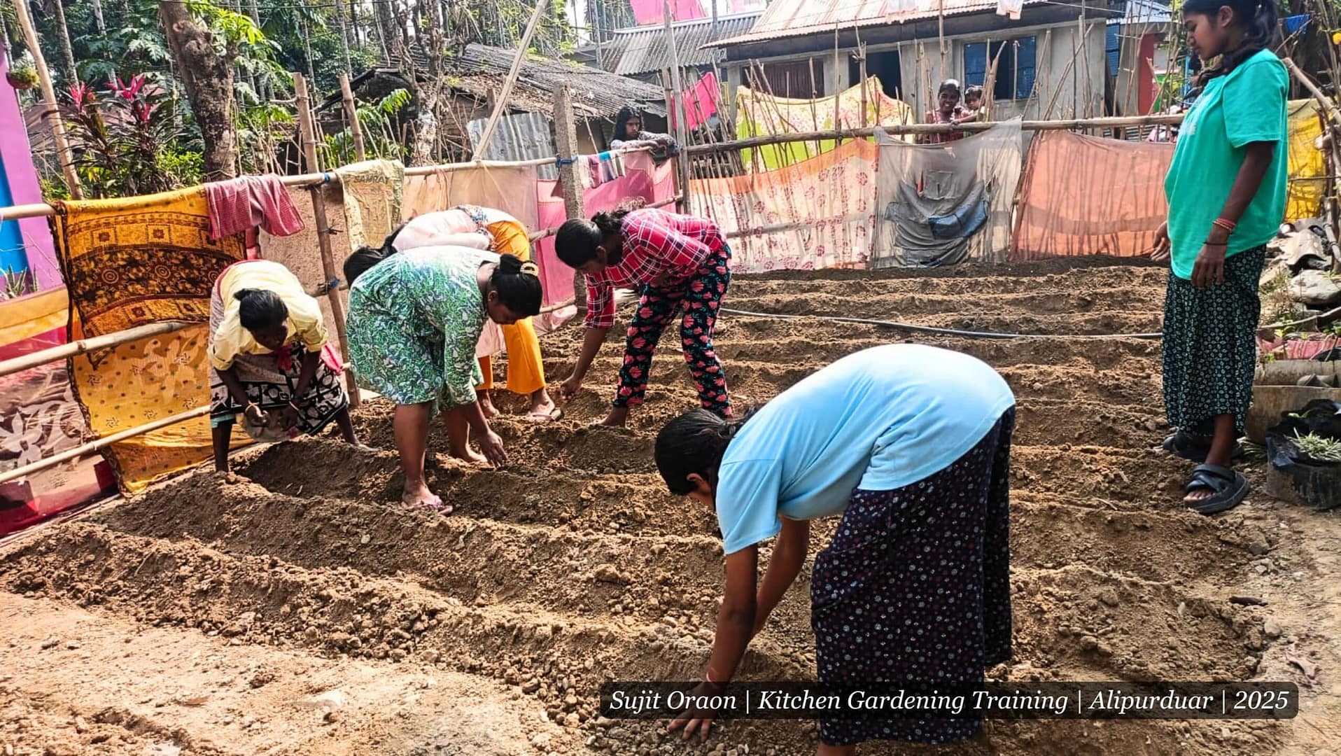 environmental sustainability